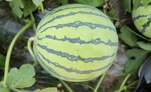 1648019382139546.png image.png