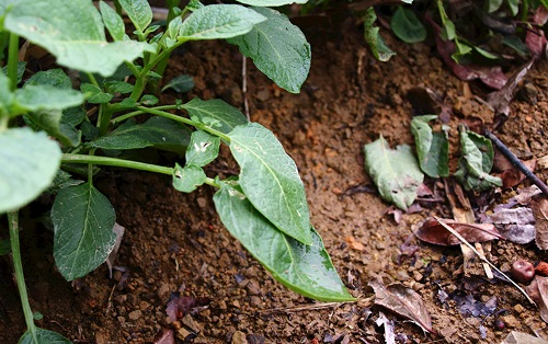 1653456686129637.png image.png