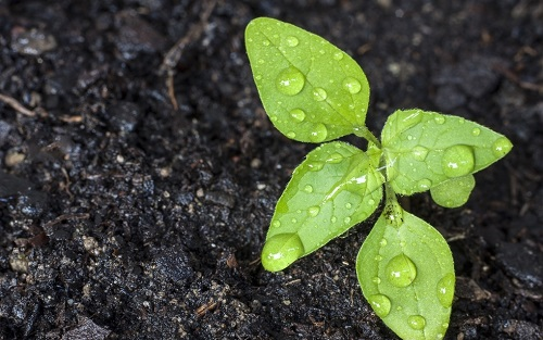 1657163242205517.png image.png