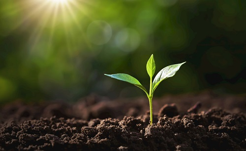 1659324601126449.png image.png