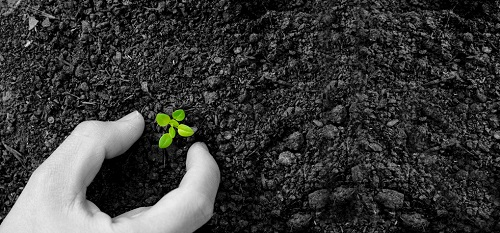 1660546215205061.png image.png