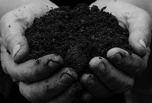 1661232475130230.png image.png