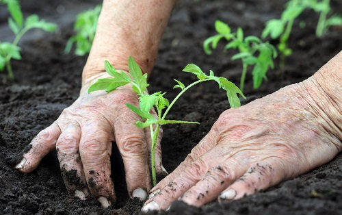 1673422140136400.png image.png