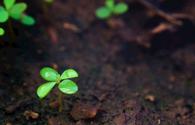 土壤養分速測儀