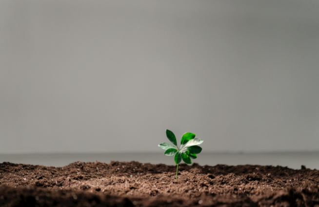 1681195376170035.png 土壤肥料養(yǎng)分速測儀使用方法